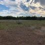 Rose Ranch