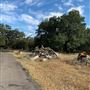 Rose Ranch