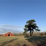 Valkyrie Ranch