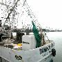 Port of Brownsville - Shrimping Boats