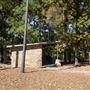 Synergy Park