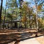 Synergy Park