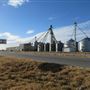 Top Tier Grain & Feed
