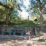 Selma Hughes Park