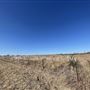 Property at 721 Rohde Rd