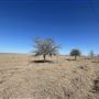 Studio Estates Acres