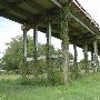 Brazos River Bridge at Hwy 105 W