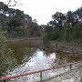 Hays County Road 202