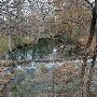 Cypress Creek in Wimberley