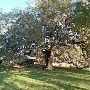 Blanco River in Wimberley