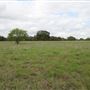 White River Ranch & Studios
