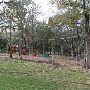 Hyatt Regency Lost Pines Resort and Spa - Renegade Equestrian Center