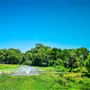 Tangle Ridge Golf Course