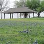 Turner Park