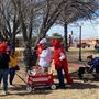Nocona