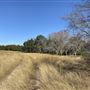 Lahourcade Ranch