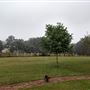 Scottsville Property
