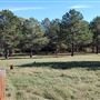 Scottsville Property