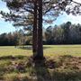 Scottsville Property