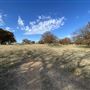 Fairlea Longhorn Ranch