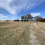 Fairlea Longhorn Ranch