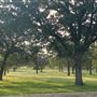 Fairlea Longhorn Ranch