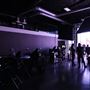 Stray Vista Studios