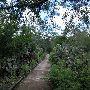 Santa Ana National Wildlife Refuge - Trail