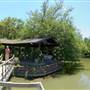 Clark Gardens Botanical Park