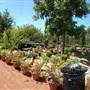 Clark Gardens Botanical Park