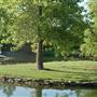 Clark Gardens Botanical Park