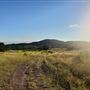 Kestrel Ranch