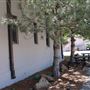 Vingo Winery