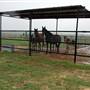 Two Wishes Ranch