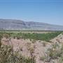 Big Bend National Park - Santa Elena Canyon