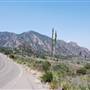 Big Bend National Park - Chisos Mountain Basin