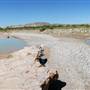 Terlingua Creek
