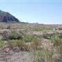 Horseback Riding Trails