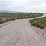 FM 169 to Casa Piedras