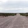 FM 169 to Casa Piedras