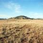 CF Ranch