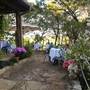 Cedars on the Brazos Bed & Breakfast