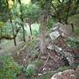 Cedars on the Brazos Bed & Breakfast