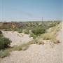 Terrain West of Terlingua