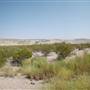 Terrain West of Terlingua