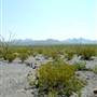 Big Bend Ranch State Park - Vista del Bofecillos