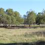 Hidden Meadows Ranch