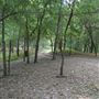 Spiderwood Studios 969 - River Cabin / "Scare-BnB"