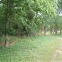 Spiderwood Studios 969 - Backlot
