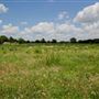 Blackland Prairie Park